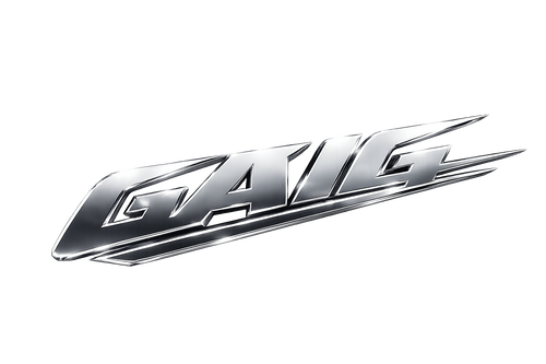 G.A.I.G